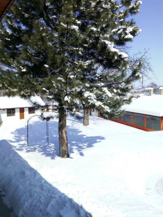 Bolyarski Stan Guest House ヴェリキー・プレスラフ エクステリア 写真